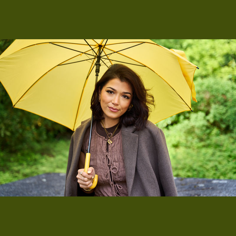 Umbrelă automată Limoges