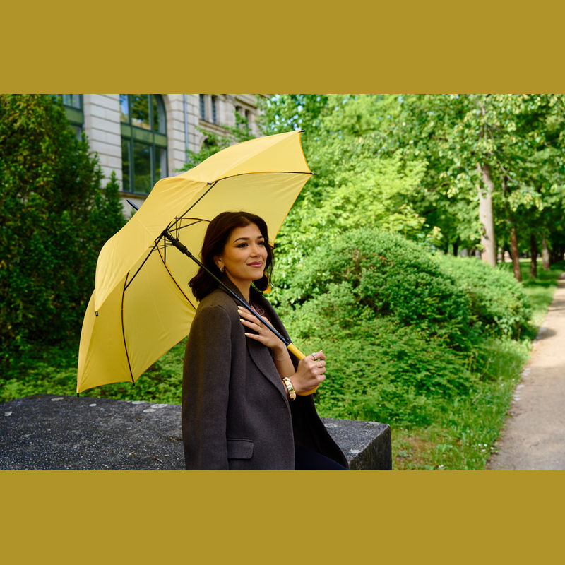 Umbrelă automată Limoges