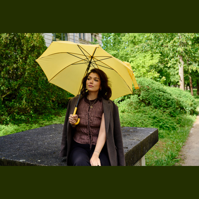 Umbrelă automată Limoges