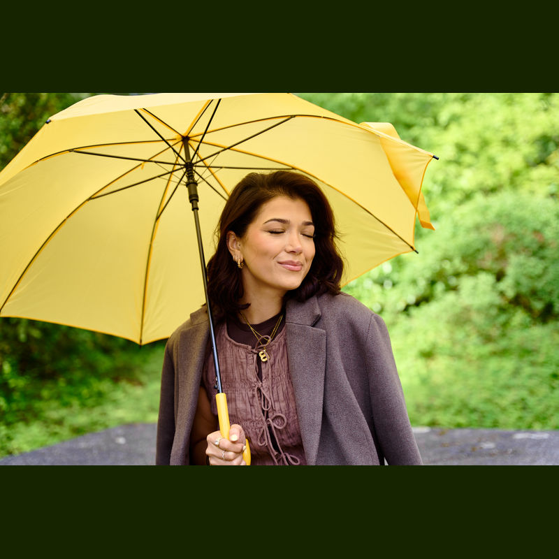 Umbrelă automată Limoges