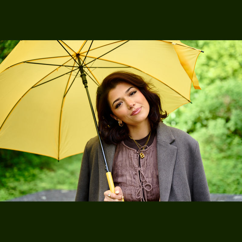 Umbrelă automată Limoges